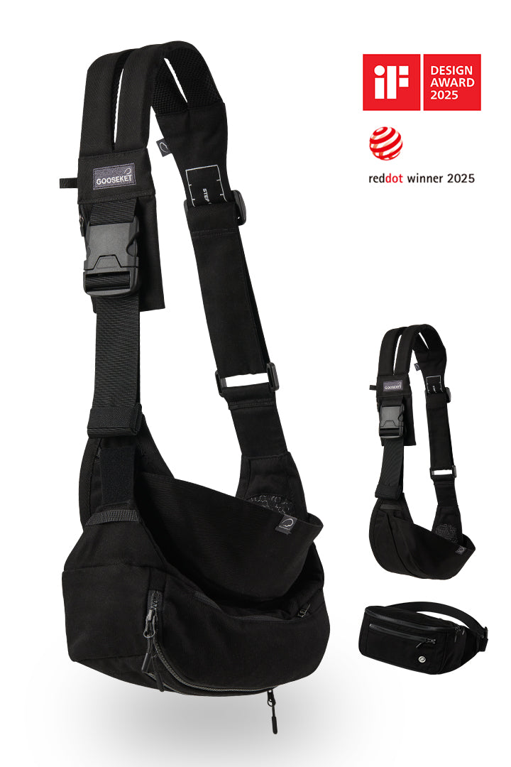 [365] Toddler Carrier + Bag