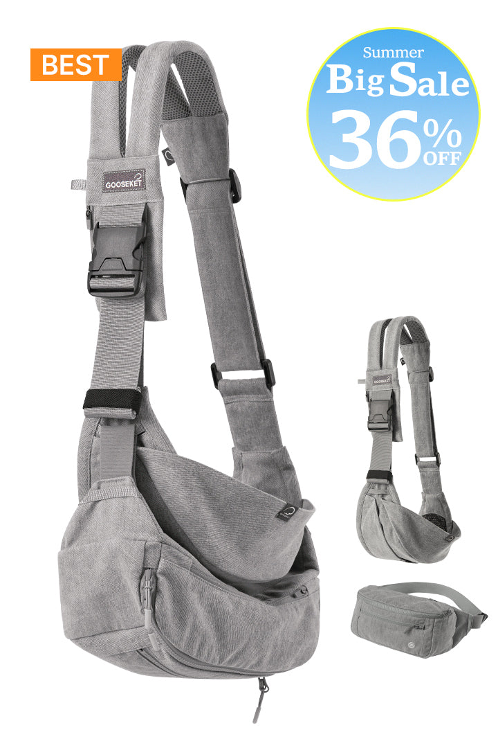 [365] Toddler Carrier + Bag