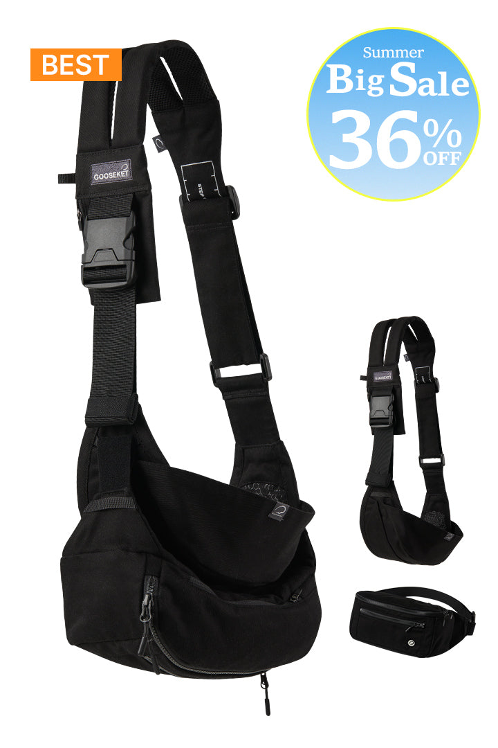 [365] Toddler Carrier + Bag