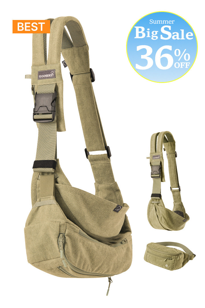 [365] Toddler Carrier + Bag