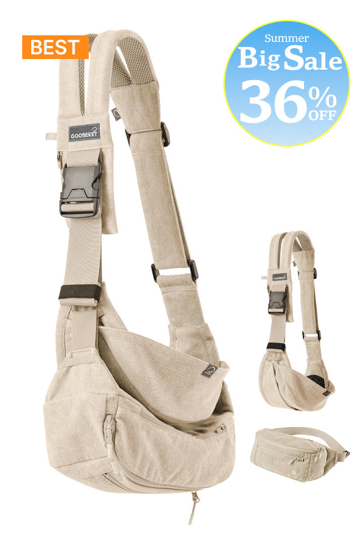 [365] Toddler Carrier + Bag